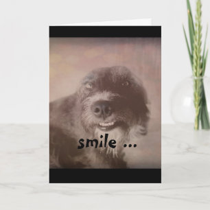 Cartão fotografia de cão engraçado aniversário humorístic