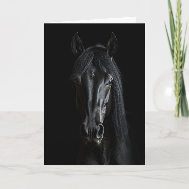 Cartão Fotografia de Cavalo Negro (Frente)