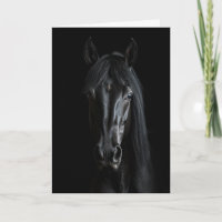 Fotografia de Cavalo Negro