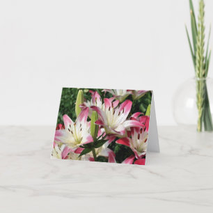Cartão Fotografia de Flores de Lírios Sorridentes Nota