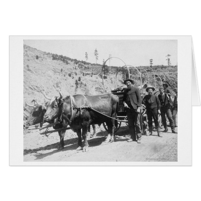 Cartão Fotografia de Grupo de Prospectores Dourados (Frente Horizontal)