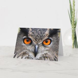 Cartão Fotografia de Macro Owl
