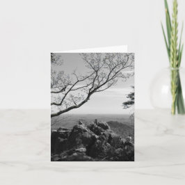 Cartão Fotografia de Paisagem Florestal no Cartão-Postal 