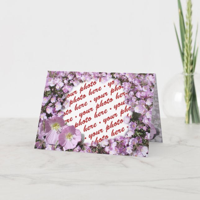 Cartão Fotografia de Poppies Rosa (Frente)