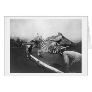 Cartão Fotografia de salto da cerca da zebra da equitaç