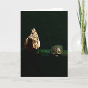 Cartão Fotografia de Tartaruga e Pato