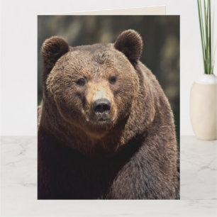 CARTÃO FOTOGRAFIA DE URSO A QUALQUER HORA ADEQUADA PARA M