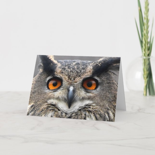 Cartão Fotografia de Wise Owl (Frente)