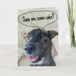 Cartão Fotografia divertida de um cão de gado cinza listr