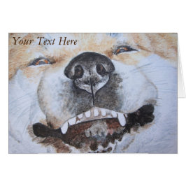 Cartão fotografia engraçada de um cachorro fofo sorrident