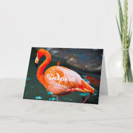 Cartão Fotografia Flamingo Rosa Inspire Script Na moda Mo