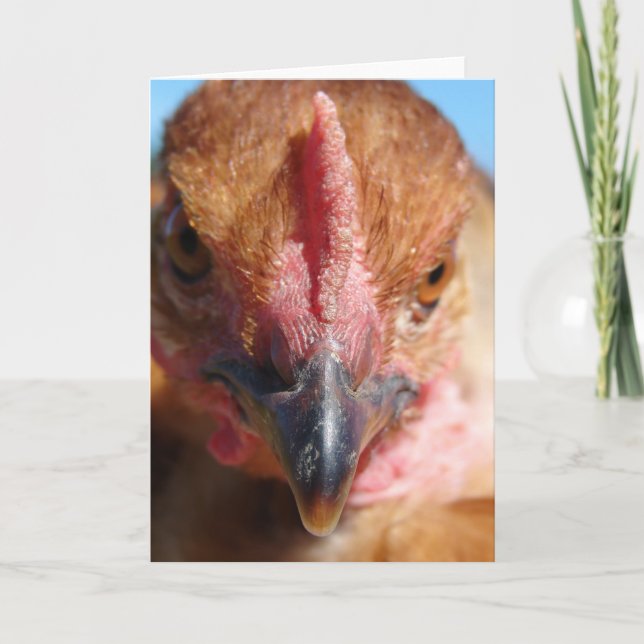 Cartão Fotografia Macro Chicken (Frente)