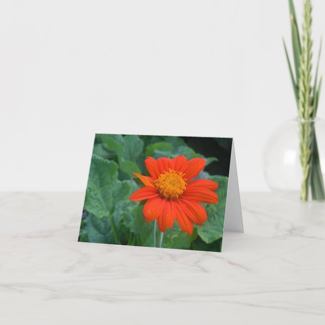 Cartão Fotografia Notecard (Frente)