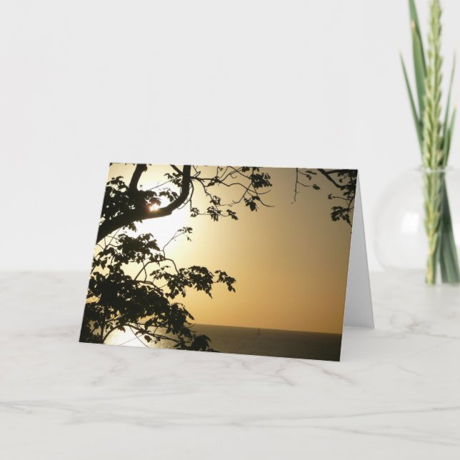Cartão Fotografia Tropical II através do Sol (Frente)