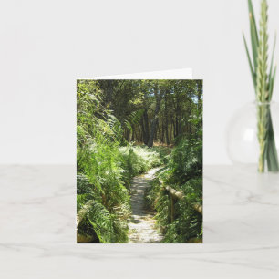 Cartão fotográfico de Espanha de pista para caminh