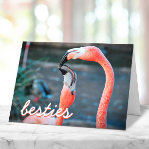 Cartão Fotos de aves Flamingo Rosa Script Stylish Besties