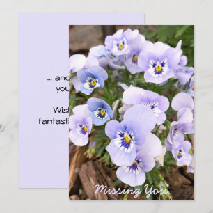 Cartão Fotos de Violetas Pansies Roxas Pastéis de Saudade