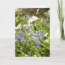 Cartão Fotos/detalhes do Bluebell 2 - Primavera 2016 Card