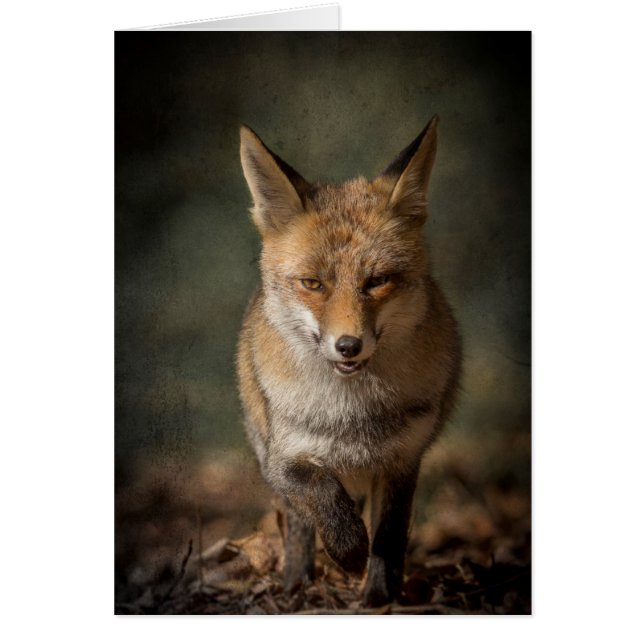 Cartão Fox (Frente)