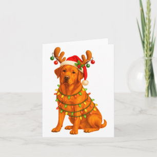 Cartão Fox Red Lab Árvore de Natal Luz Pijama Labrador D