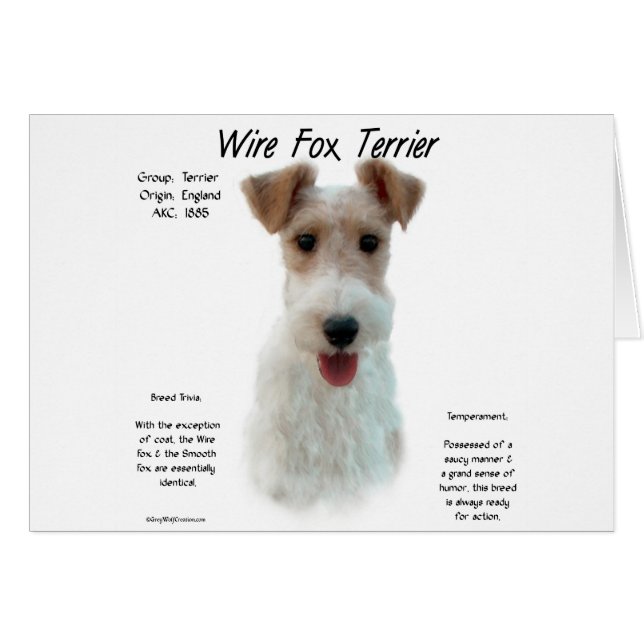 Cartão Fox Terrier History; sobre o arame fox terrier (Frente Horizontal)