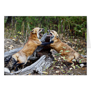 Cartão Fox vermelho - Luta