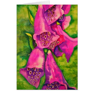 Cartão Foxglove