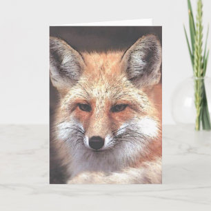 Cartão foxy