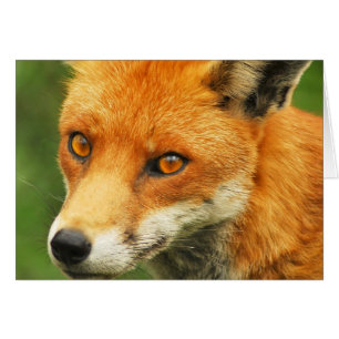 Cartão Foxy Lady