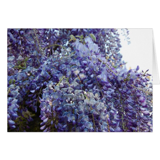 Cartão Fragrância em Azul (Frente Horizontal)