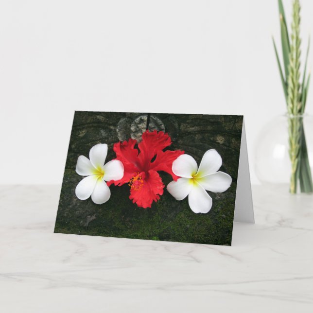 Cartão frangipani trio (Frente)