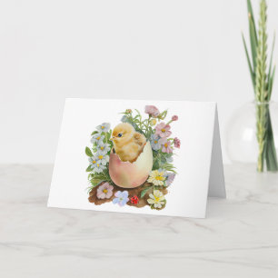 Cartão Frango Fofo no Ovos com Flores em Aquarela