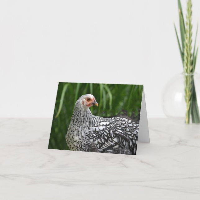 Cartão Frango Notecard (Frente)