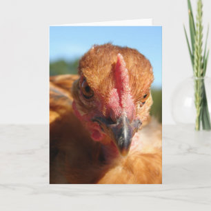 Cartão Frango Turkin