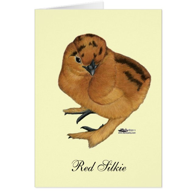 Cartão Frango Vermelho Silkie (Frente)