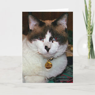Cartão Frank Greeting Card
