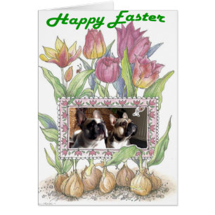 Cartão Französische Bulldogge Grußkarte Ostern