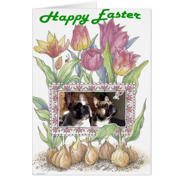 Cartão Französische Bulldogge Grußkarte Ostern (Frente)