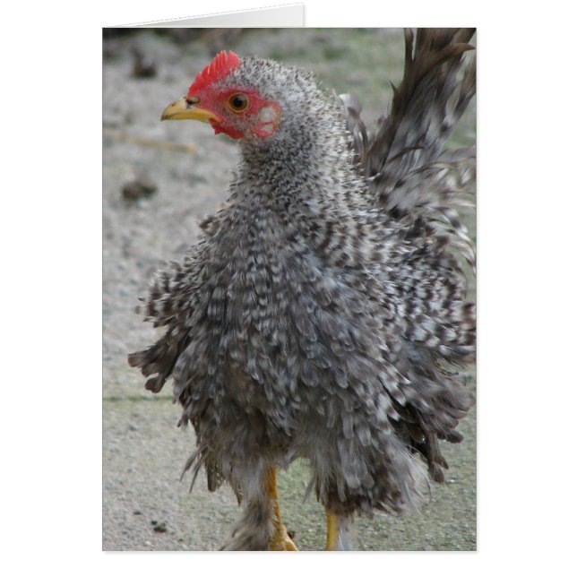 Cartão Frasco Barrado (Frente)