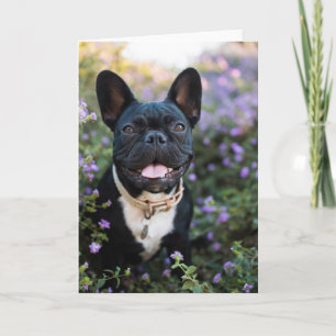 Cartão French Bulldog Stands in Flowers