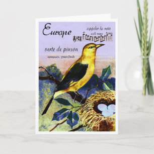 CARTÃO FRENCH GREEN FINCH "PICTURE POSTCARD"  GREETING
