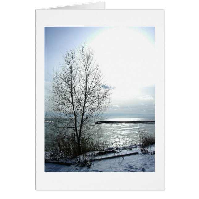 Cartão French-tous nos meilleurs voeux (Frente)