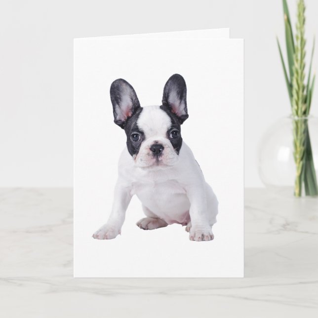 Cartão Frenchie - filhote de cachorro do buldogue francês (Frente)