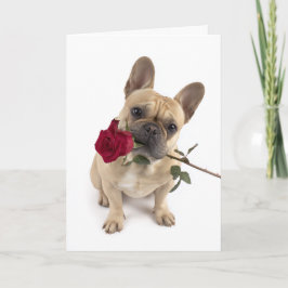 Cartão Frenchie Valentine – Grande Amor em uma Pequena Em