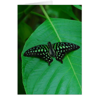 Cartão Fresco e Verde