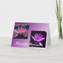 Cartão friends forever
