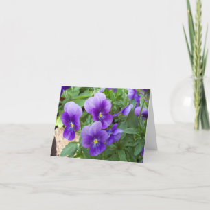 Cartão Friends Garden Blank Inside Note Cards Variety