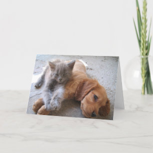 Cartão Friendship Card