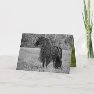 Cartão Friesian Horse Looks - Horse Greeting Card