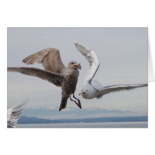 Cartão fritadas 2 da liberdade